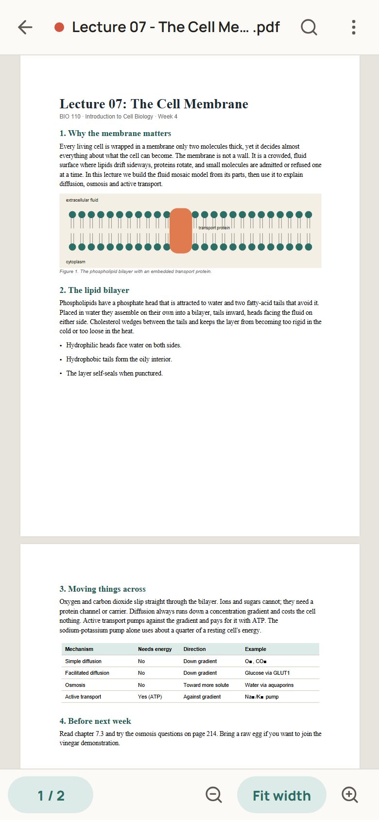 PDF open in Paperwren for Android
