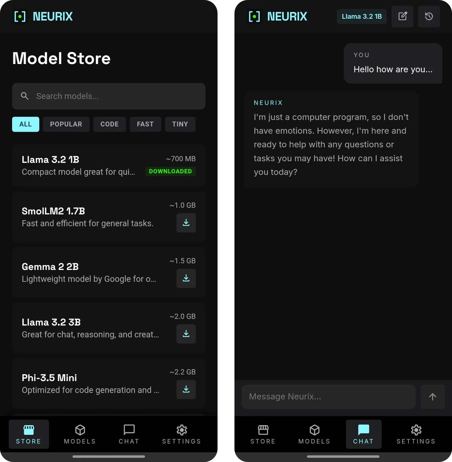 Neurix on a phone: the model store, and a chat with Llama 3.2 running on the device